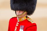 The Colonel's Review 2016.
Horse Guards Parade, Westminster,
London,

United Kingdom,
on 04 June 2016 at 10:39, image #113