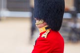 The Colonel's Review 2016.
Horse Guards Parade, Westminster,
London,

United Kingdom,
on 04 June 2016 at 10:40, image #114