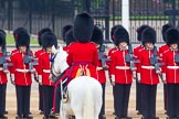 The Colonel's Review 2016.
Horse Guards Parade, Westminster,
London,

United Kingdom,
on 04 June 2016 at 10:42, image #117