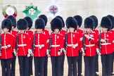 The Colonel's Review 2016.
Horse Guards Parade, Westminster,
London,

United Kingdom,
on 04 June 2016 at 10:43, image #118