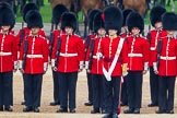 The Colonel's Review 2016.
Horse Guards Parade, Westminster,
London,

United Kingdom,
on 04 June 2016 at 10:43, image #119