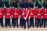 The Colonel's Review 2016.
Horse Guards Parade, Westminster,
London,

United Kingdom,
on 04 June 2016 at 10:43, image #120