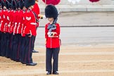 The Colonel's Review 2016.
Horse Guards Parade, Westminster,
London,

United Kingdom,
on 04 June 2016 at 10:44, image #122