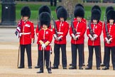 The Colonel's Review 2016.
Horse Guards Parade, Westminster,
London,

United Kingdom,
on 04 June 2016 at 10:47, image #126
