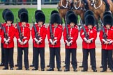 The Colonel's Review 2016.
Horse Guards Parade, Westminster,
London,

United Kingdom,
on 04 June 2016 at 10:47, image #127