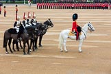 The Colonel's Review 2016.
Horse Guards Parade, Westminster,
London,

United Kingdom,
on 04 June 2016 at 10:57, image #151