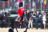 The Colonel's Review 2016.
Horse Guards Parade, Westminster,
London,

United Kingdom,
on 04 June 2016 at 10:58, image #157