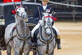 The Colonel's Review 2016.
Horse Guards Parade, Westminster,
London,

United Kingdom,
on 04 June 2016 at 10:59, image #167