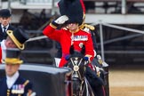 The Colonel's Review 2016.
Horse Guards Parade, Westminster,
London,

United Kingdom,
on 04 June 2016 at 10:59, image #170