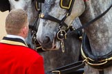 The Colonel's Review 2016.
Horse Guards Parade, Westminster,
London,

United Kingdom,
on 04 June 2016 at 11:00, image #175