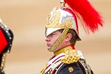 The Colonel's Review 2016.
Horse Guards Parade, Westminster,
London,

United Kingdom,
on 04 June 2016 at 11:01, image #188