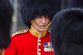 The Colonel's Review 2016.
Horse Guards Parade, Westminster,
London,

United Kingdom,
on 04 June 2016 at 11:01, image #191