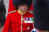 The Colonel's Review 2016.
Horse Guards Parade, Westminster,
London,

United Kingdom,
on 04 June 2016 at 11:01, image #192