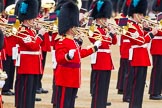 The Colonel's Review 2016.
Horse Guards Parade, Westminster,
London,

United Kingdom,
on 04 June 2016 at 11:03, image #199