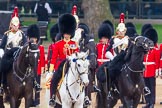 The Colonel's Review 2016.
Horse Guards Parade, Westminster,
London,

United Kingdom,
on 04 June 2016 at 11:05, image #201