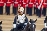 The Colonel's Review 2016.
Horse Guards Parade, Westminster,
London,

United Kingdom,
on 04 June 2016 at 11:05, image #203