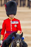 The Colonel's Review 2016.
Horse Guards Parade, Westminster,
London,

United Kingdom,
on 04 June 2016 at 11:06, image #209