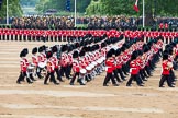 The Colonel's Review 2016.
Horse Guards Parade, Westminster,
London,

United Kingdom,
on 04 June 2016 at 11:09, image #223