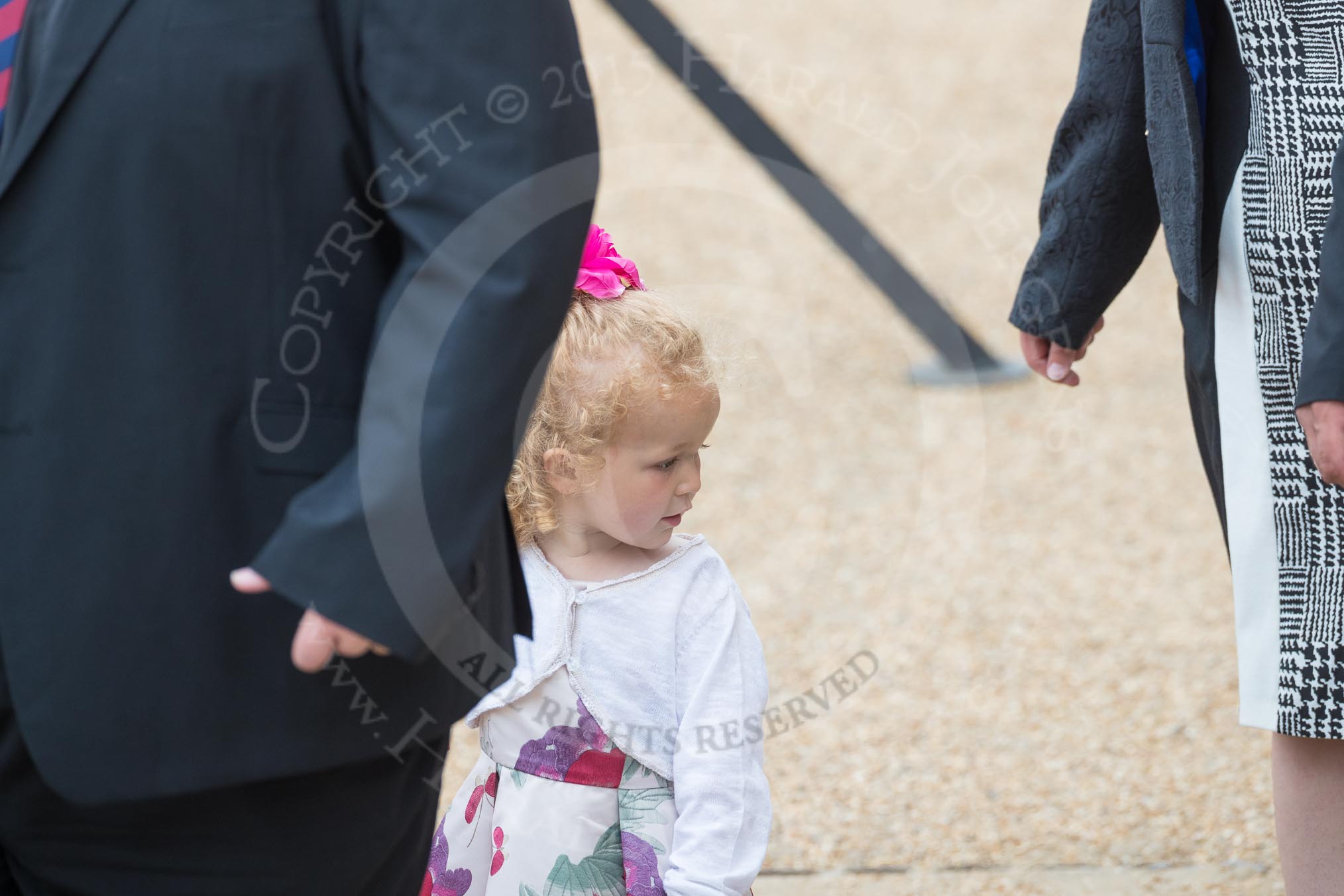 Trooping the Colour 2016.
Horse Guards Parade, Westminster,
London SW1A,
London,
United Kingdom,
on 11 June 2016 at 09:12, image #3