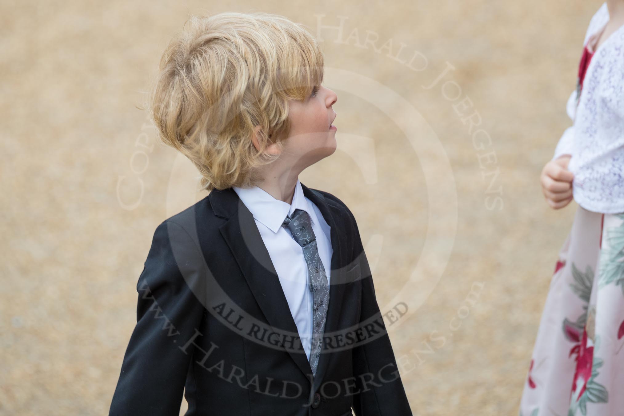 Trooping the Colour 2016.
Horse Guards Parade, Westminster,
London SW1A,
London,
United Kingdom,
on 11 June 2016 at 09:12, image #4