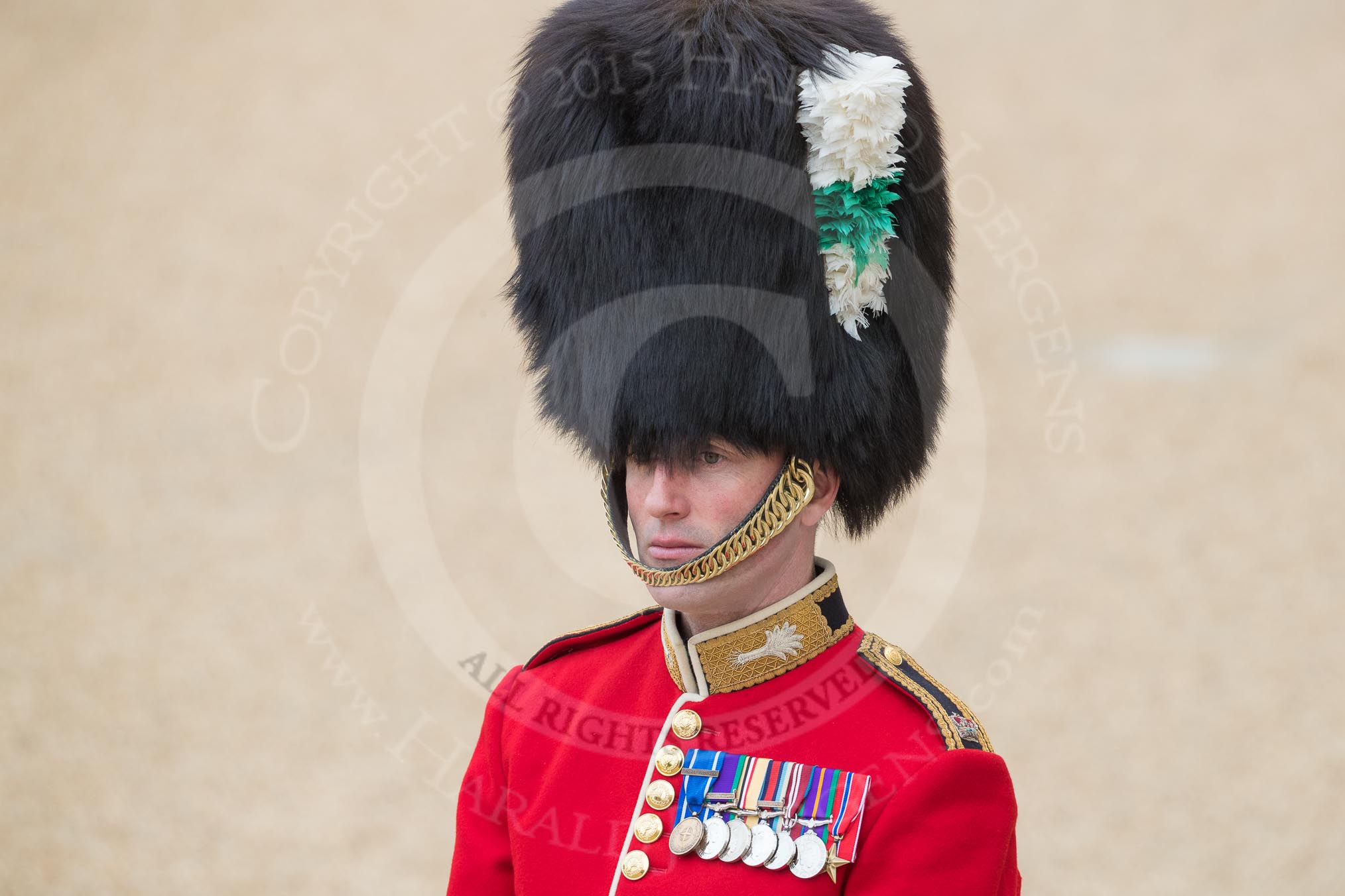Trooping the Colour 2016.
Horse Guards Parade, Westminster,
London SW1A,
London,
United Kingdom,
on 11 June 2016 at 09:17, image #8