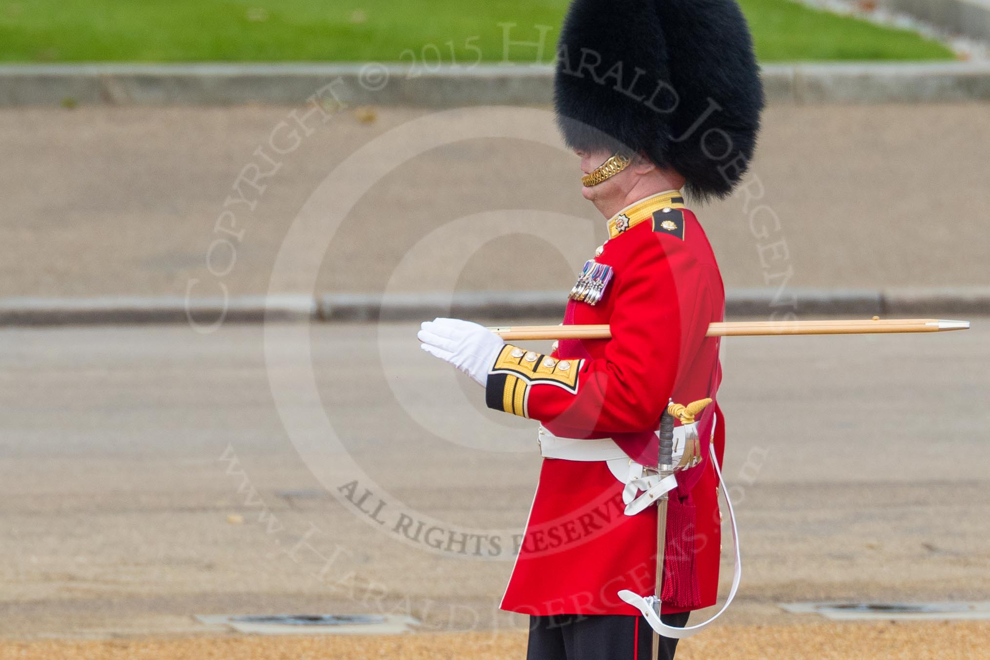 Trooping the Colour 2016.
Horse Guards Parade, Westminster,
London SW1A,
London,
United Kingdom,
on 11 June 2016 at 10:21, image #113