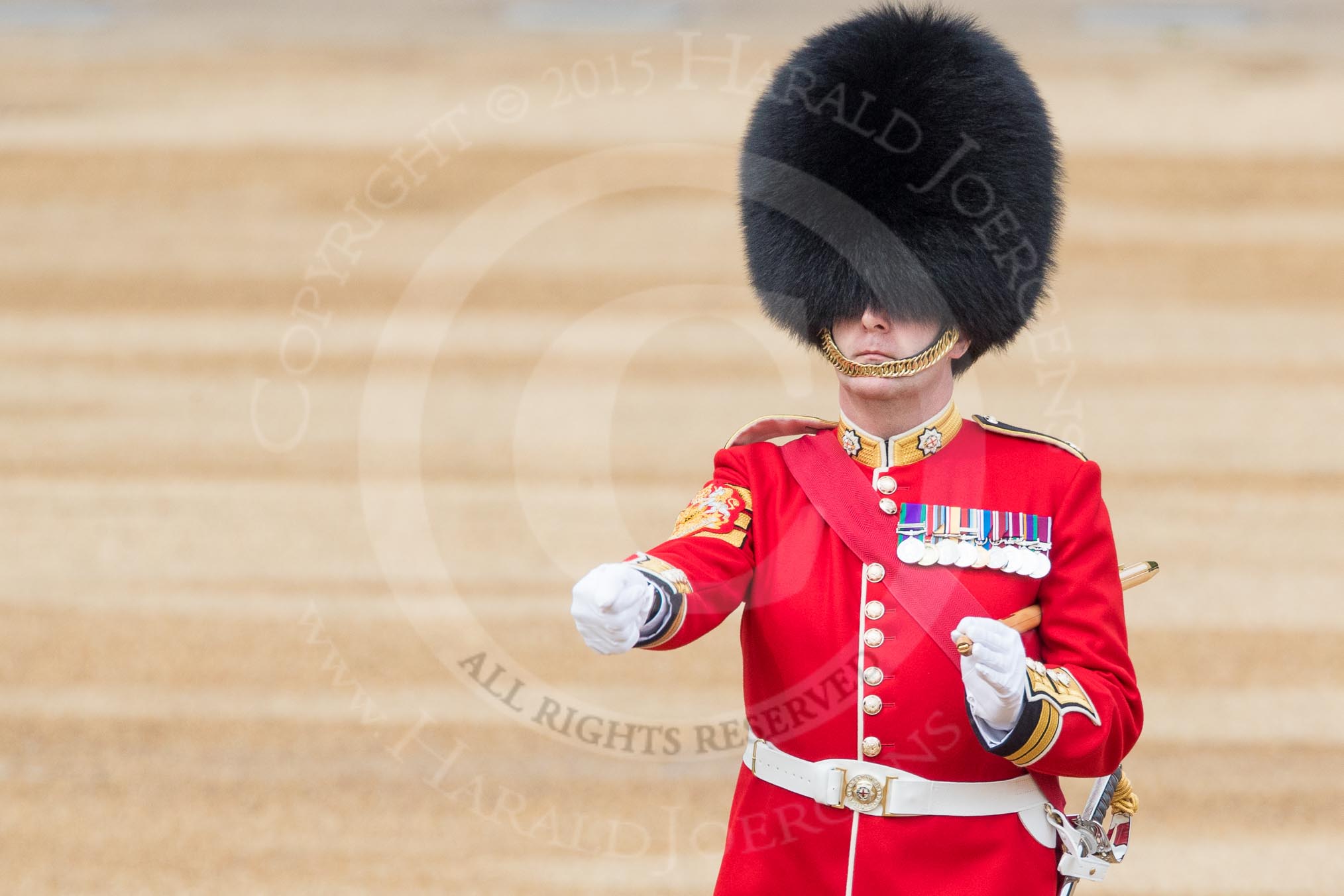 Trooping the Colour 2016.
Horse Guards Parade, Westminster,
London SW1A,
London,
United Kingdom,
on 11 June 2016 at 10:22, image #114