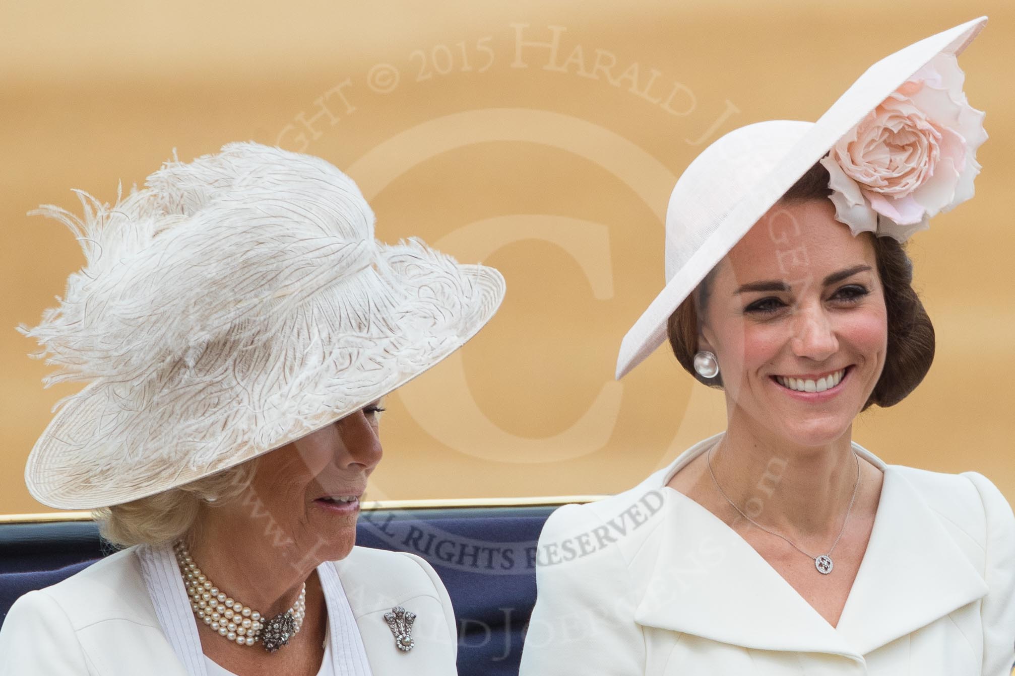 Trooping the Colour 2016.
Horse Guards Parade, Westminster,
London SW1A,
London,
United Kingdom,
on 11 June 2016 at 10:52, image #258