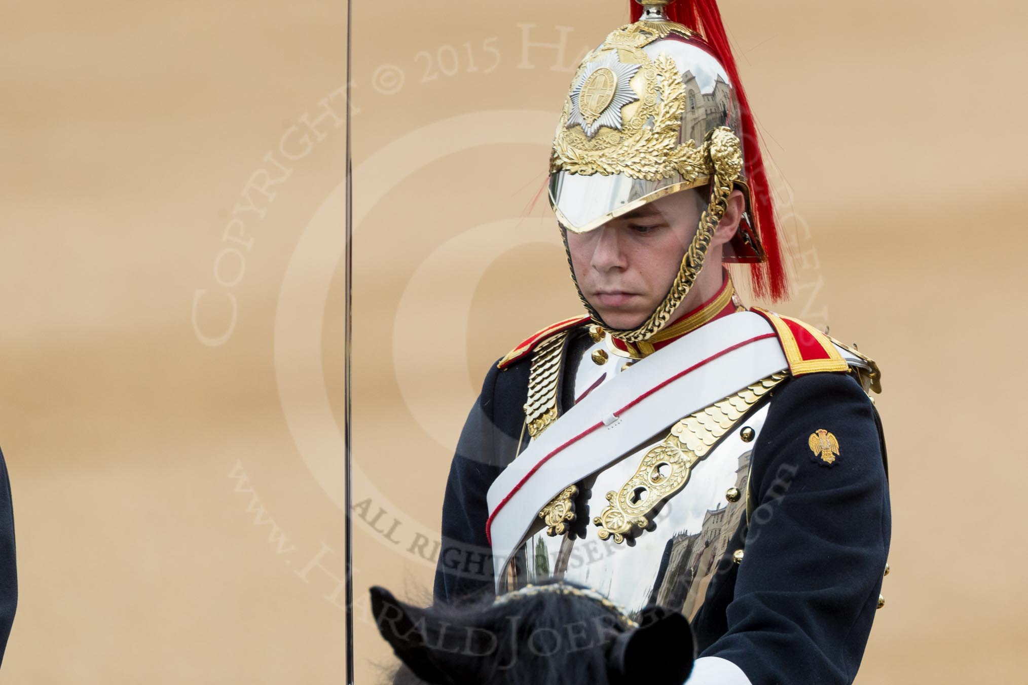 Trooping the Colour 2016.
Horse Guards Parade, Westminster,
London SW1A,
London,
United Kingdom,
on 11 June 2016 at 10:57, image #298