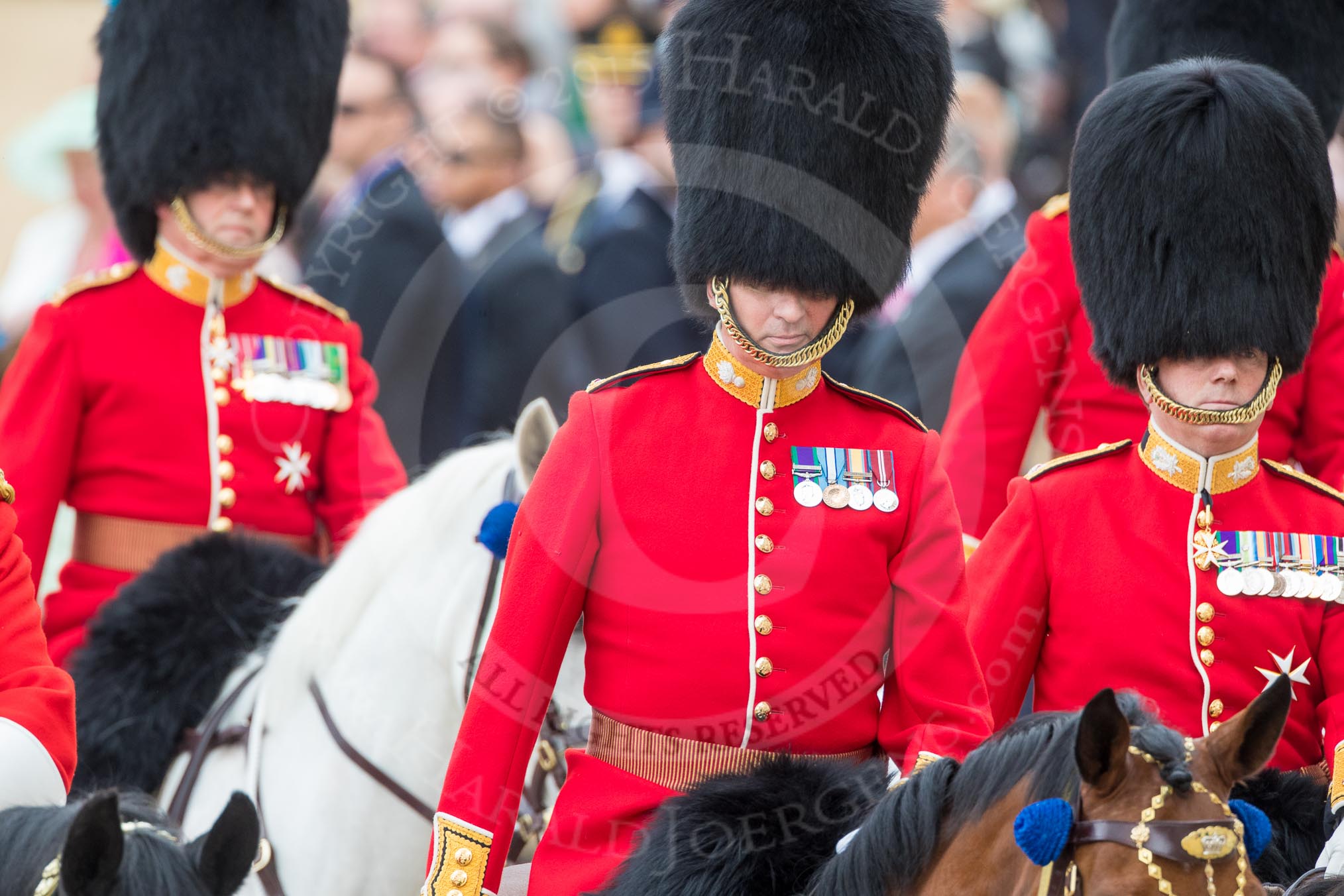 Trooping the Colour 2016.
Horse Guards Parade, Westminster,
London SW1A,
London,
United Kingdom,
on 11 June 2016 at 11:02, image #361