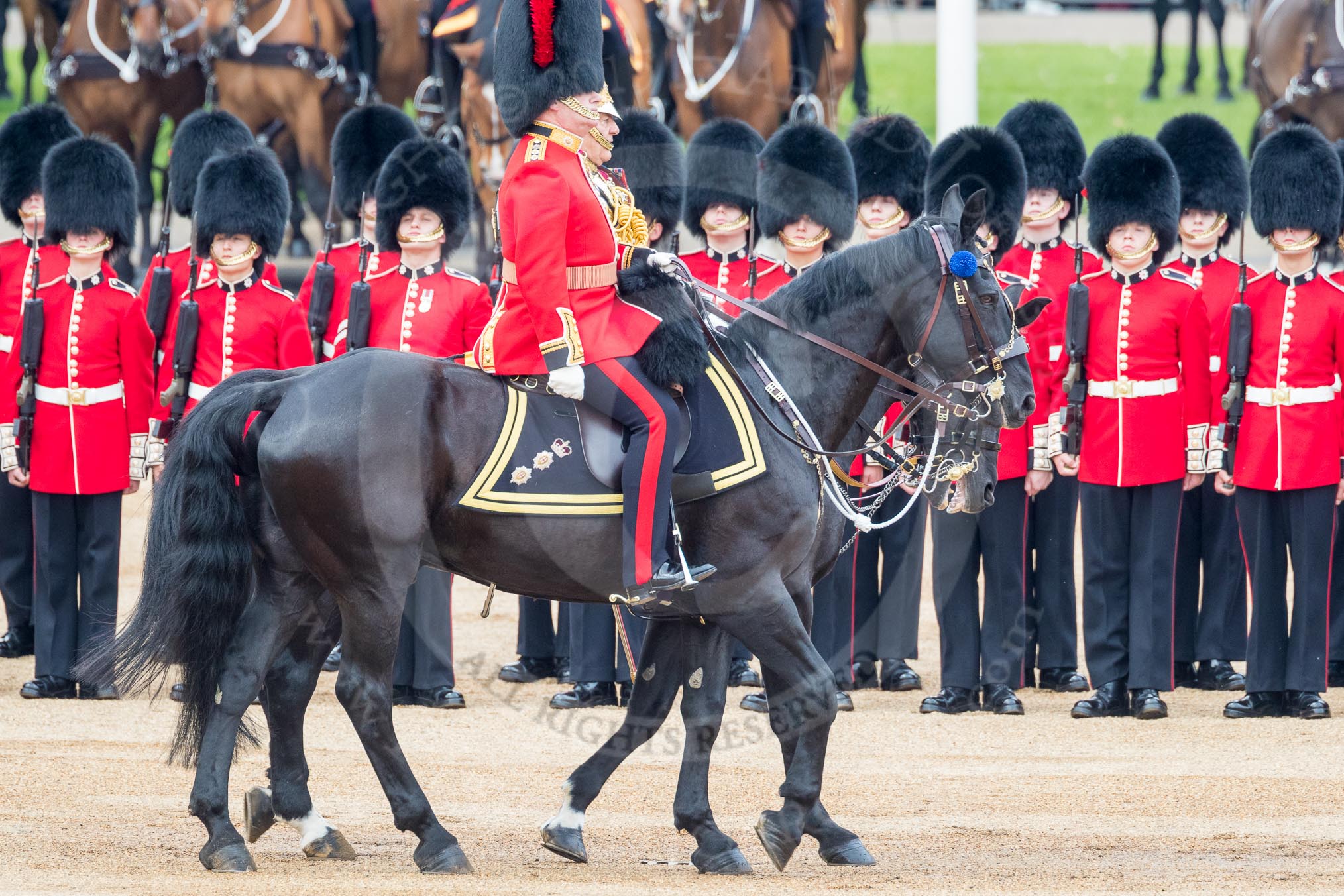 Trooping the Colour 2016.
Horse Guards Parade, Westminster,
London SW1A,
London,
United Kingdom,
on 11 June 2016 at 11:03, image #379