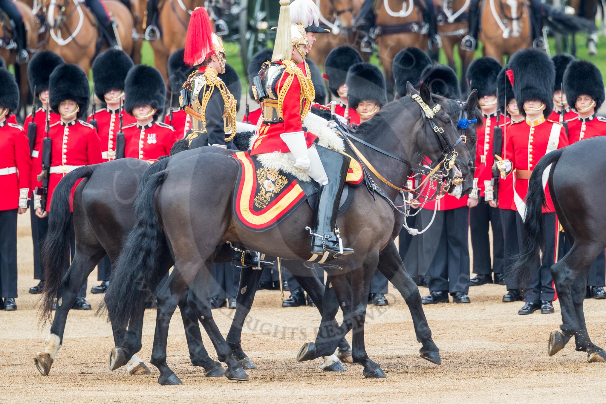 Trooping the Colour 2016.
Horse Guards Parade, Westminster,
London SW1A,
London,
United Kingdom,
on 11 June 2016 at 11:03, image #381