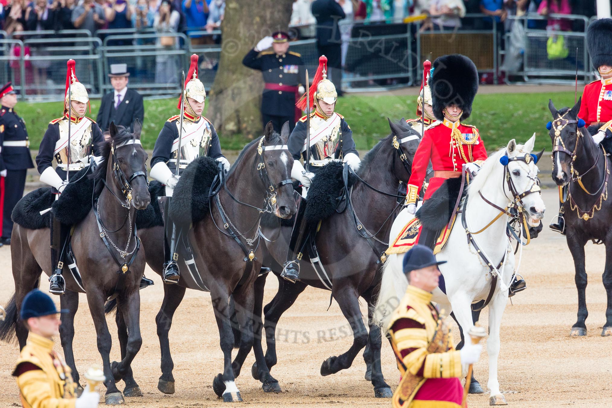 Trooping the Colour 2016.
Horse Guards Parade, Westminster,
London SW1A,
London,
United Kingdom,
on 11 June 2016 at 11:06, image #392