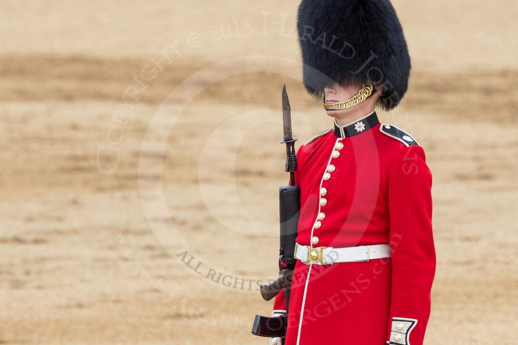 Trooping the Colour 2016.
Horse Guards Parade, Westminster,
London SW1A,
London,
United Kingdom,
on 11 June 2016 at 11:15, image #457