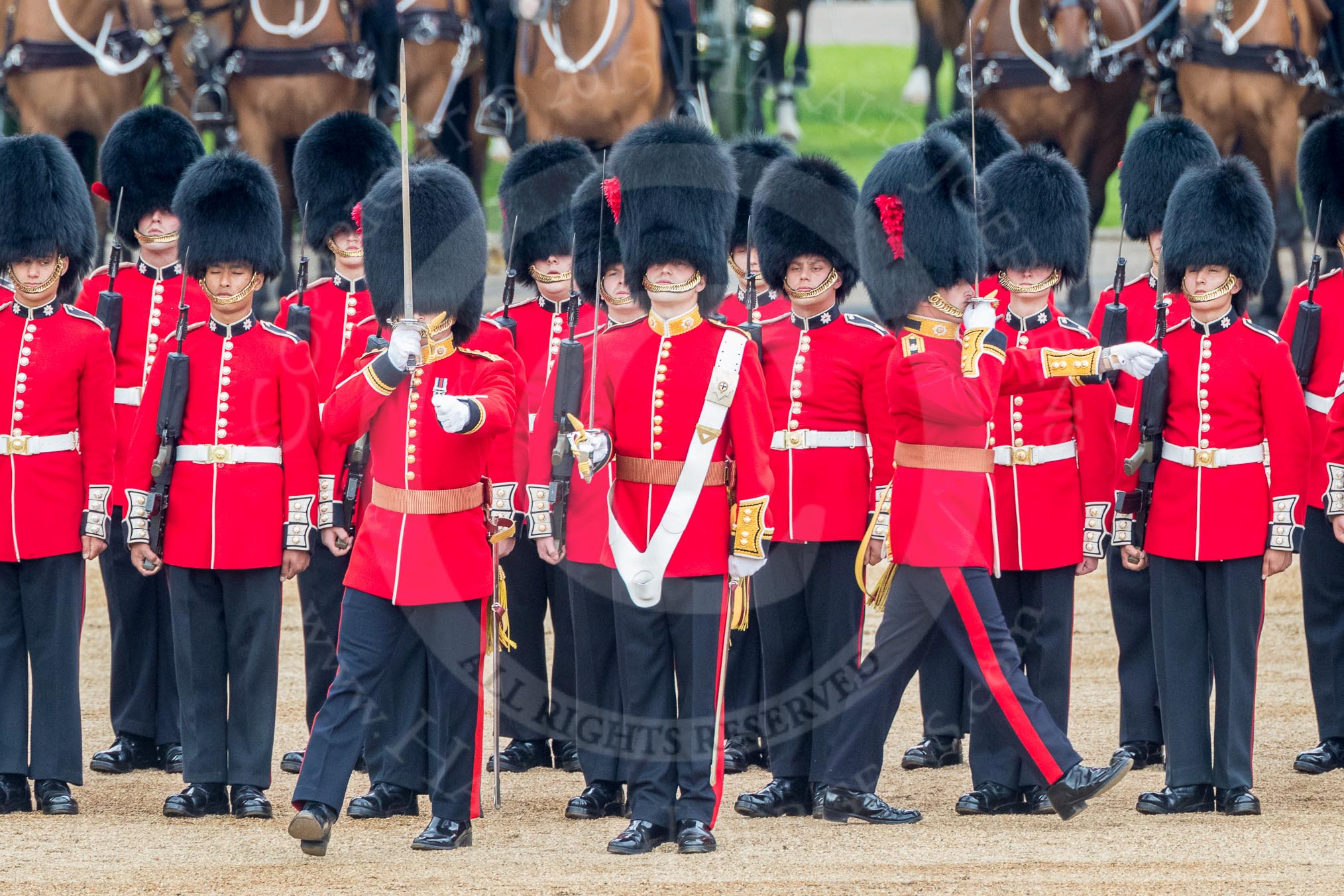 Trooping the Colour 2016.
Horse Guards Parade, Westminster,
London SW1A,
London,
United Kingdom,
on 11 June 2016 at 11:16, image #463