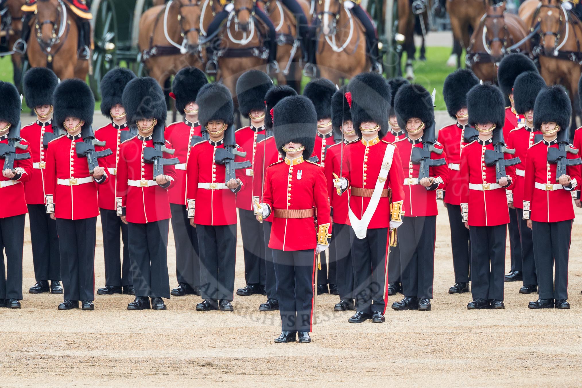 Trooping the Colour 2016.
Horse Guards Parade, Westminster,
London SW1A,
London,
United Kingdom,
on 11 June 2016 at 11:17, image #471