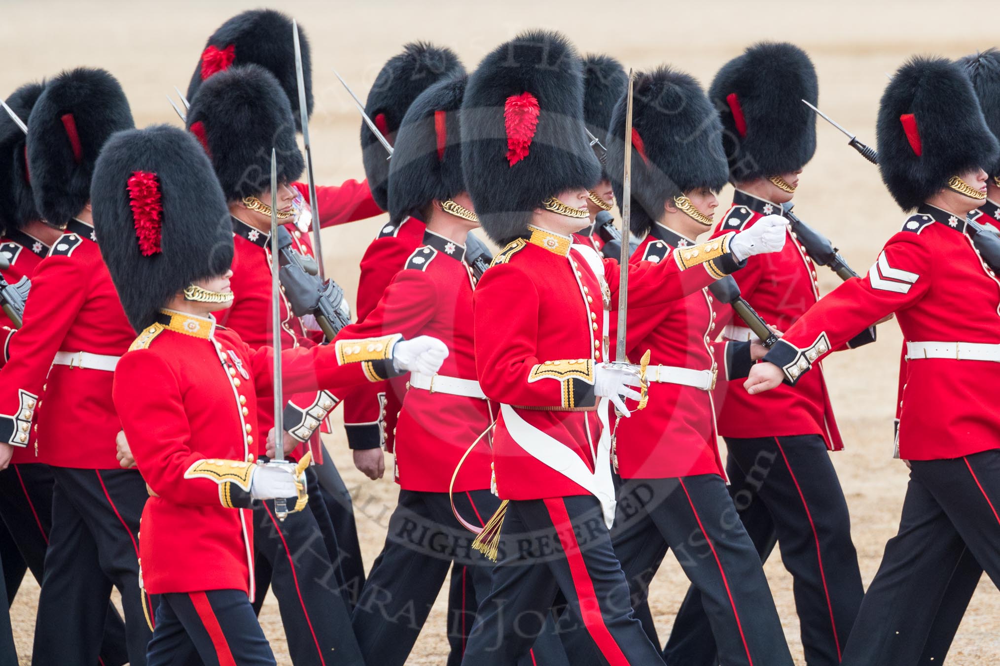 Trooping the Colour 2016.
Horse Guards Parade, Westminster,
London SW1A,
London,
United Kingdom,
on 11 June 2016 at 11:18, image #481