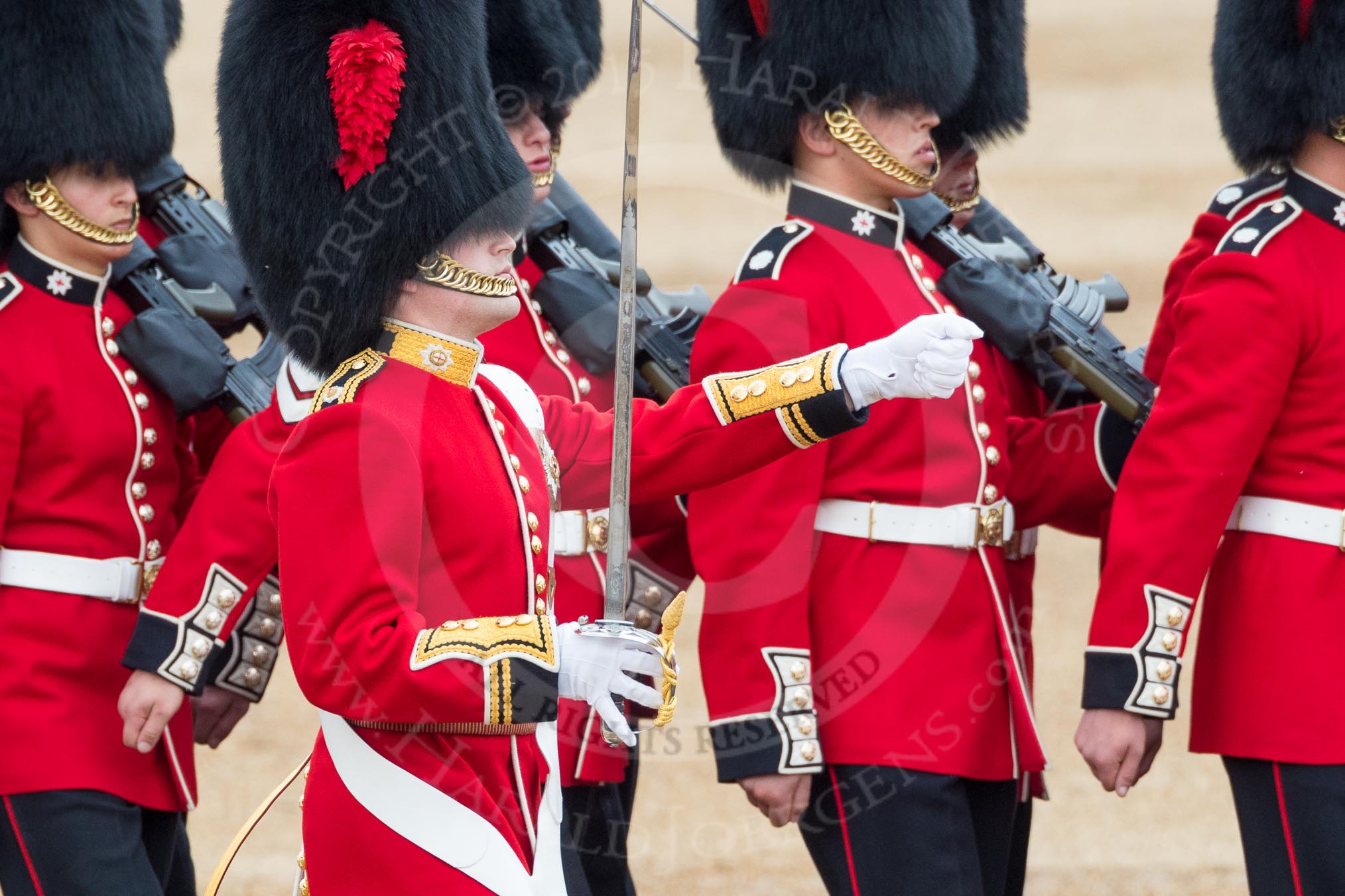 Trooping the Colour 2016.
Horse Guards Parade, Westminster,
London SW1A,
London,
United Kingdom,
on 11 June 2016 at 11:18, image #484