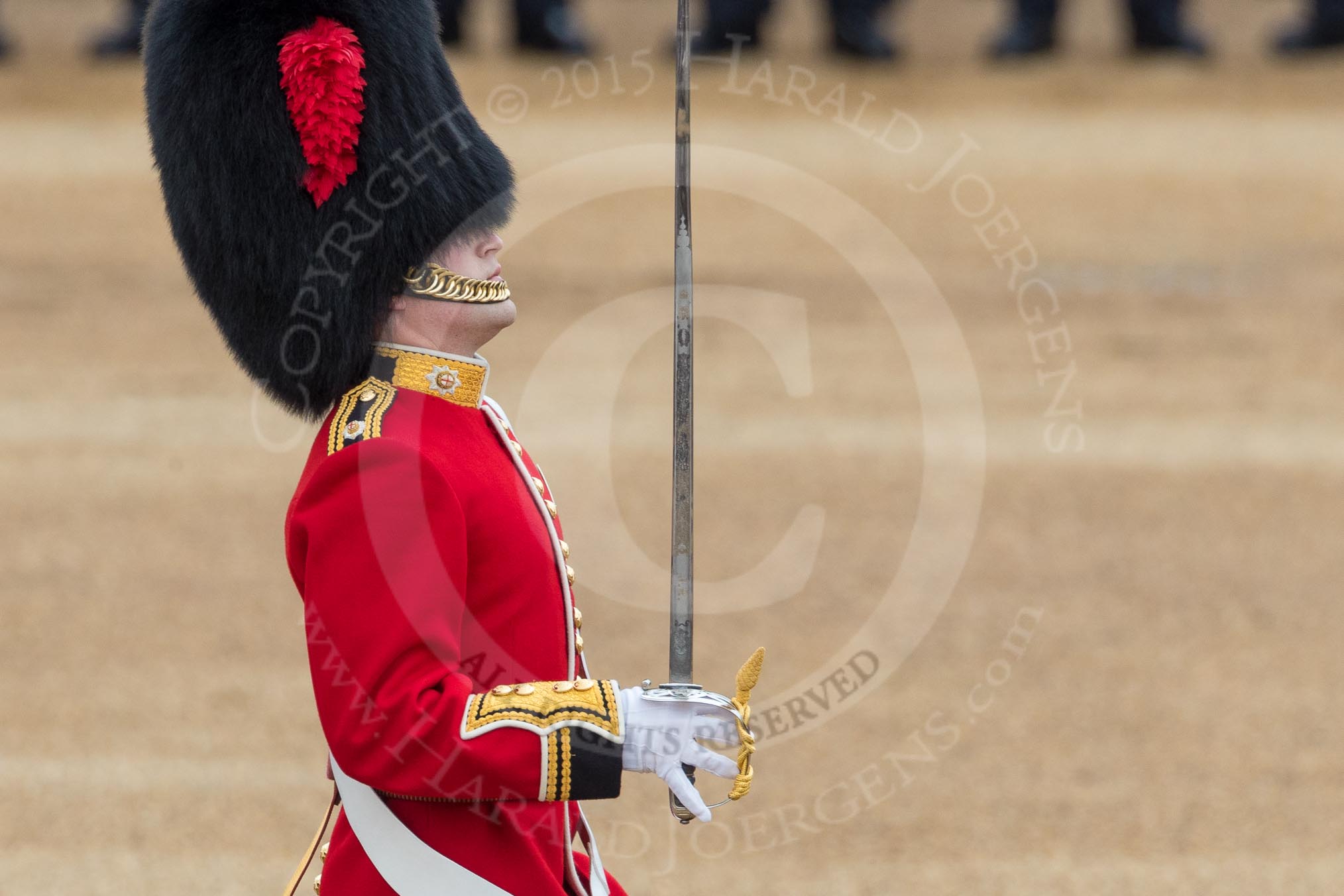 Trooping the Colour 2016.
Horse Guards Parade, Westminster,
London SW1A,
London,
United Kingdom,
on 11 June 2016 at 11:18, image #488