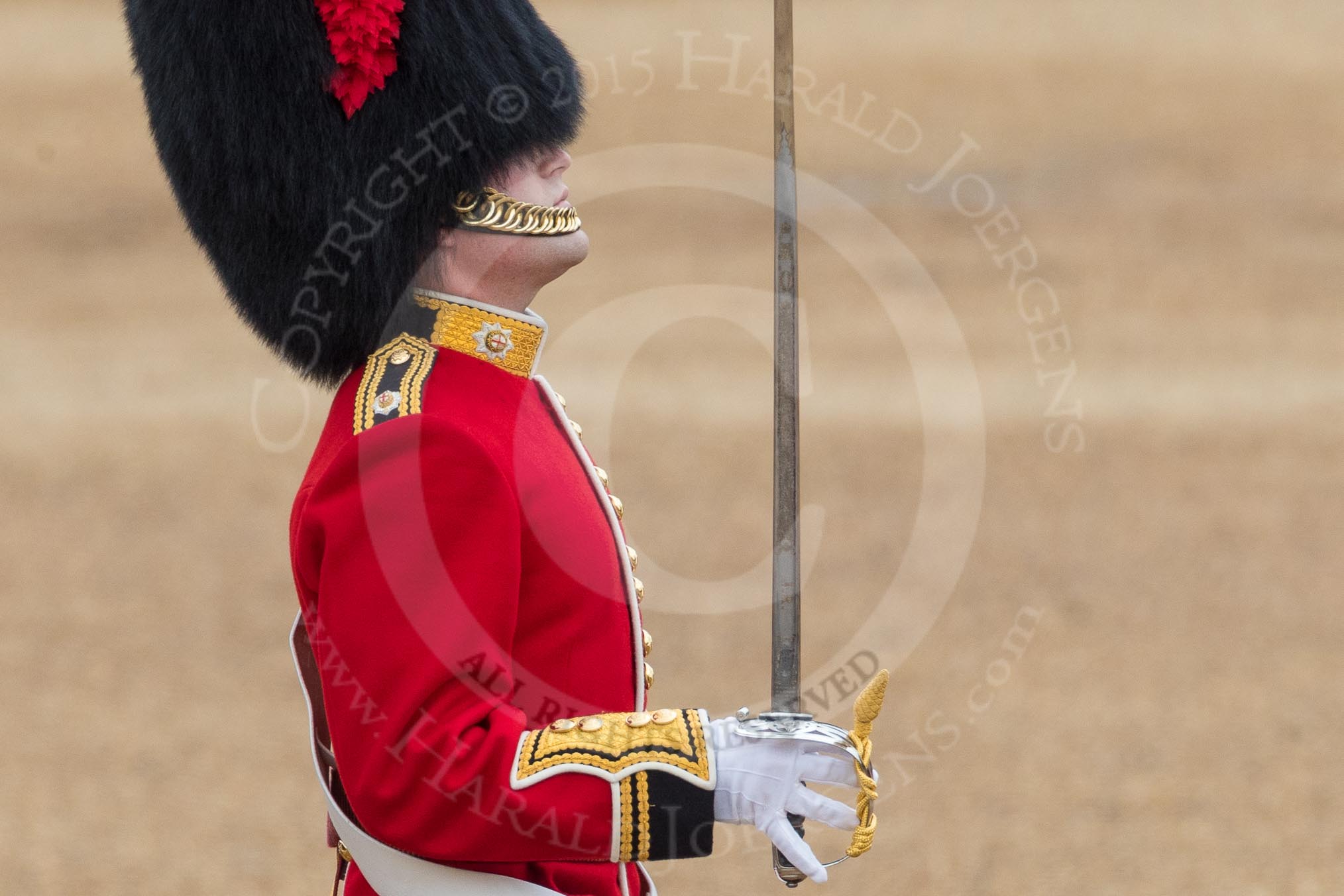 Trooping the Colour 2016.
Horse Guards Parade, Westminster,
London SW1A,
London,
United Kingdom,
on 11 June 2016 at 11:18, image #490