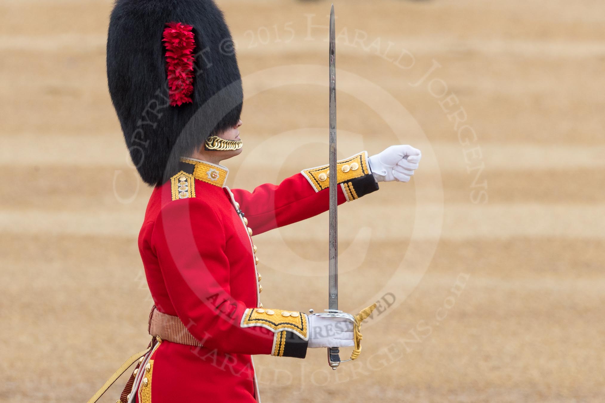 Trooping the Colour 2016.
Horse Guards Parade, Westminster,
London SW1A,
London,
United Kingdom,
on 11 June 2016 at 11:18, image #494