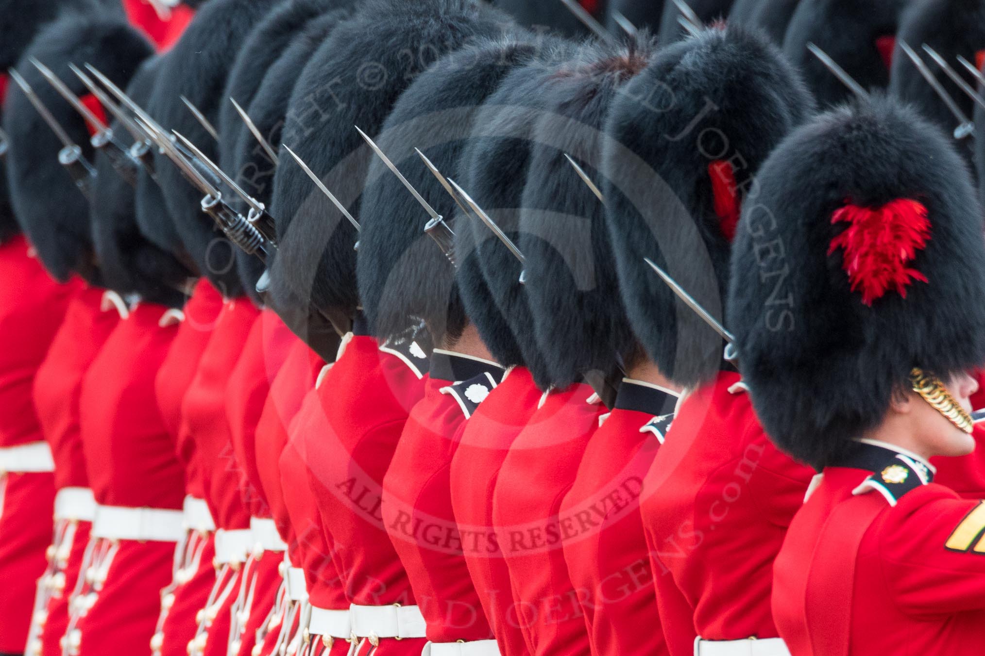 Trooping the Colour 2016.
Horse Guards Parade, Westminster,
London SW1A,
London,
United Kingdom,
on 11 June 2016 at 11:18, image #497
