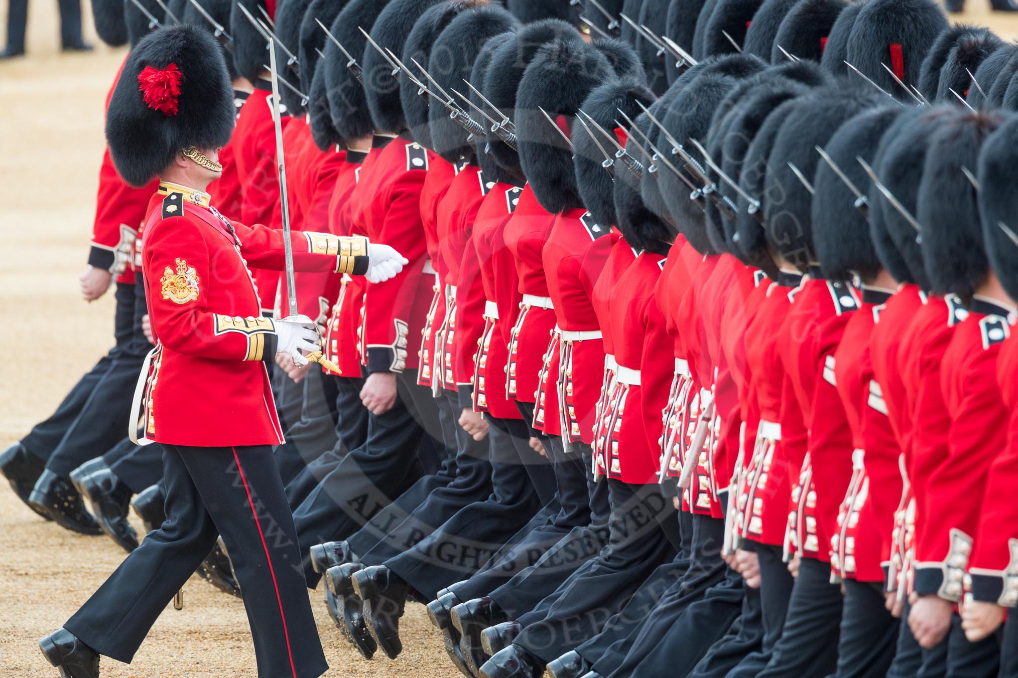 Trooping the Colour 2016.
Horse Guards Parade, Westminster,
London SW1A,
London,
United Kingdom,
on 11 June 2016 at 11:18, image #498
