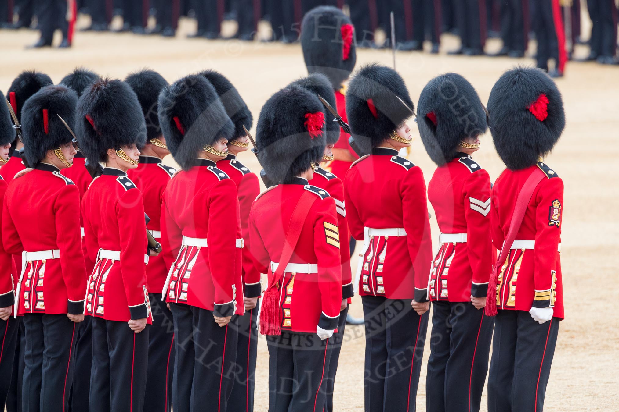 Trooping the Colour 2016.
Horse Guards Parade, Westminster,
London SW1A,
London,
United Kingdom,
on 11 June 2016 at 11:19, image #502
