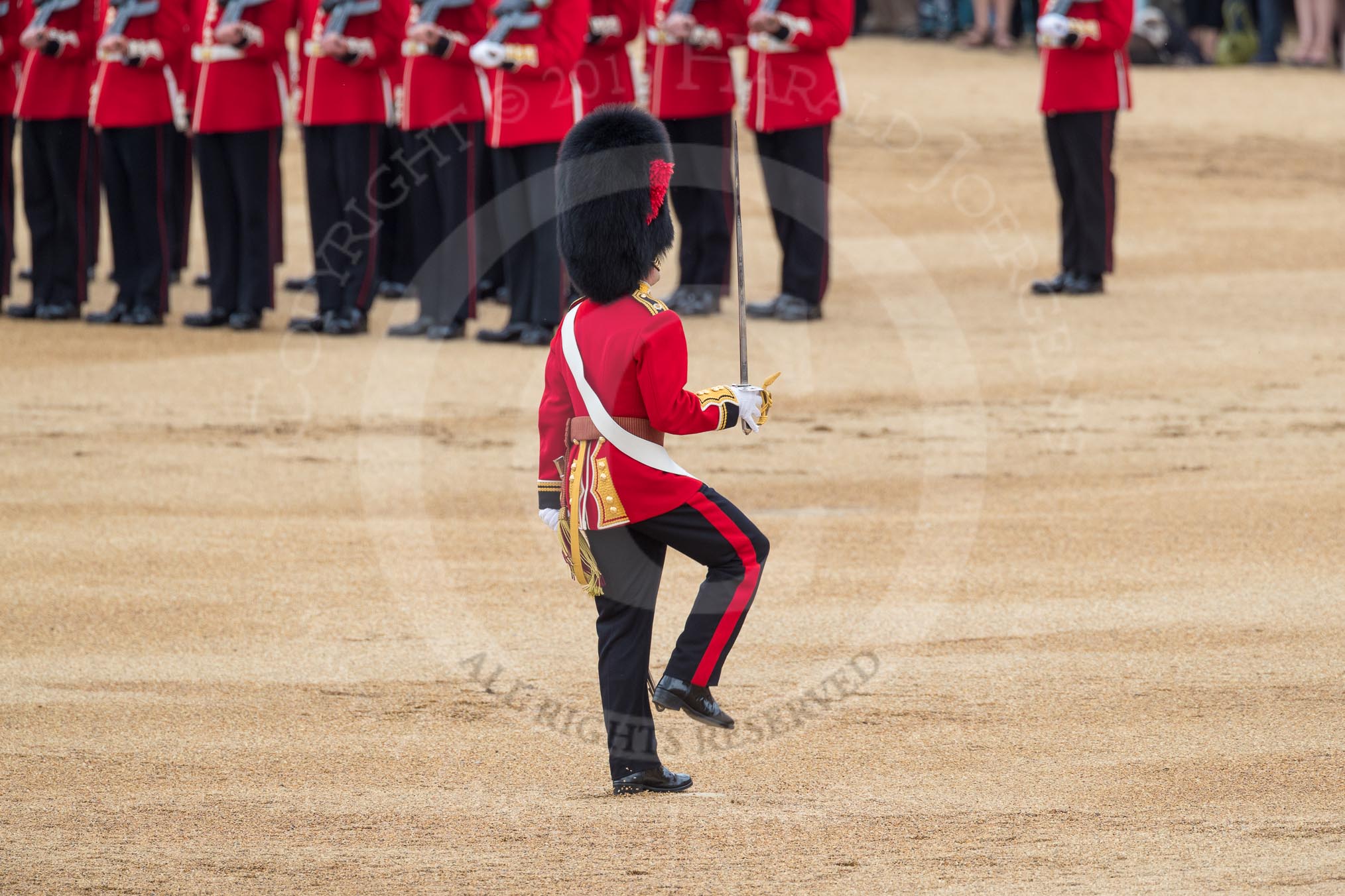 Trooping the Colour 2016.
Horse Guards Parade, Westminster,
London SW1A,
London,
United Kingdom,
on 11 June 2016 at 11:20, image #509