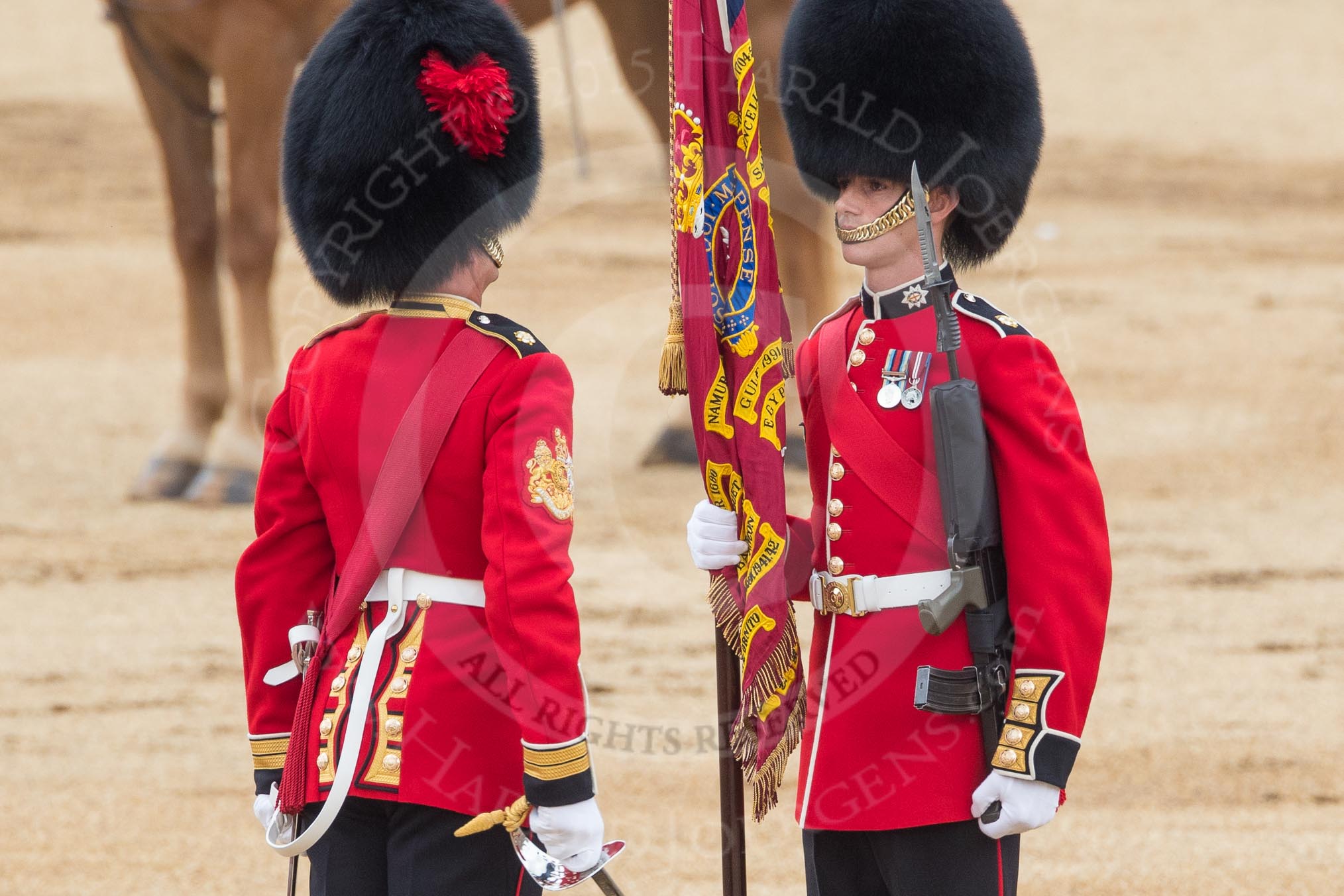 Trooping the Colour 2016.
Horse Guards Parade, Westminster,
London SW1A,
London,
United Kingdom,
on 11 June 2016 at 11:20, image #511