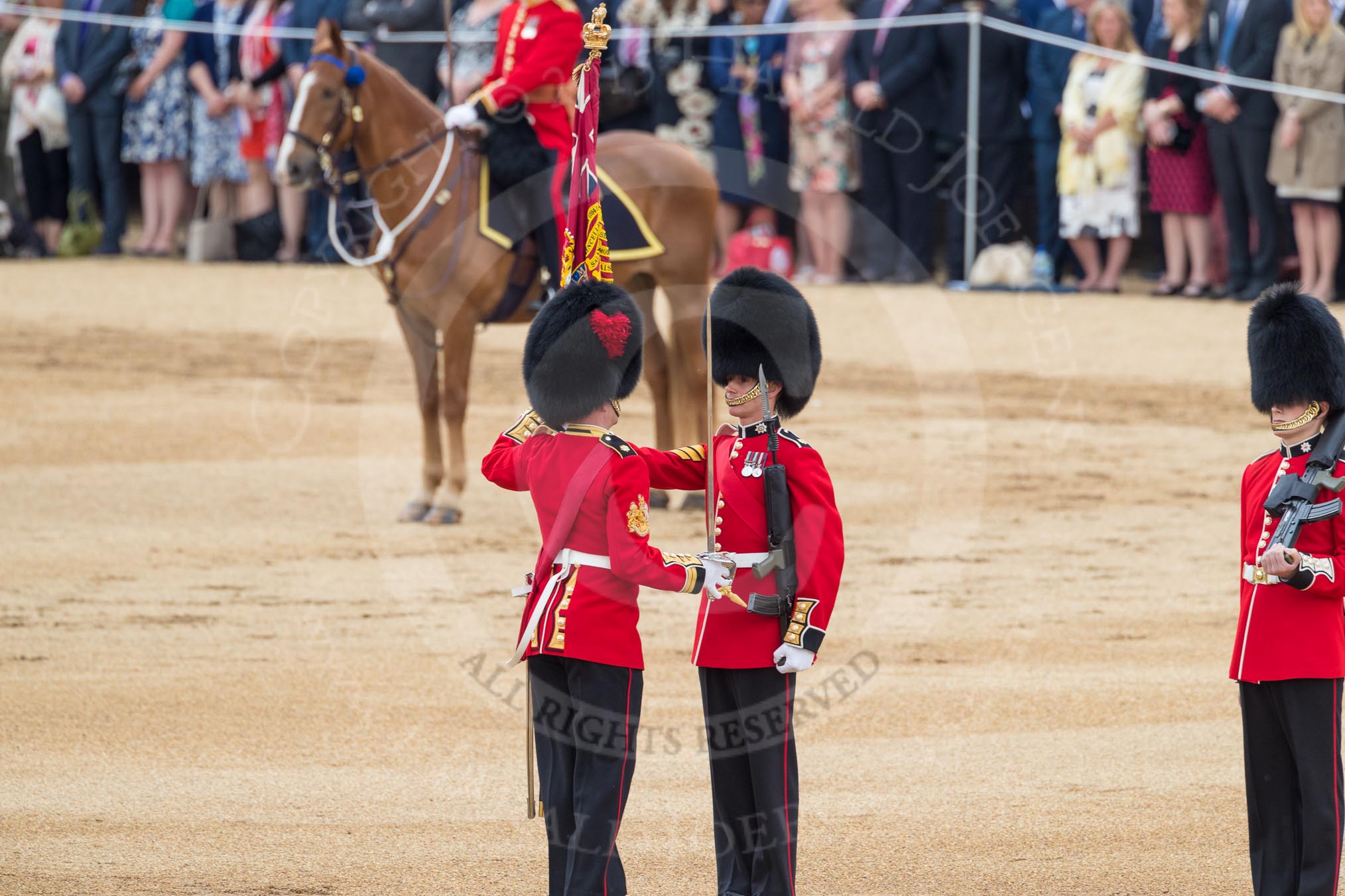 Trooping the Colour 2016.
Horse Guards Parade, Westminster,
London SW1A,
London,
United Kingdom,
on 11 June 2016 at 11:20, image #512