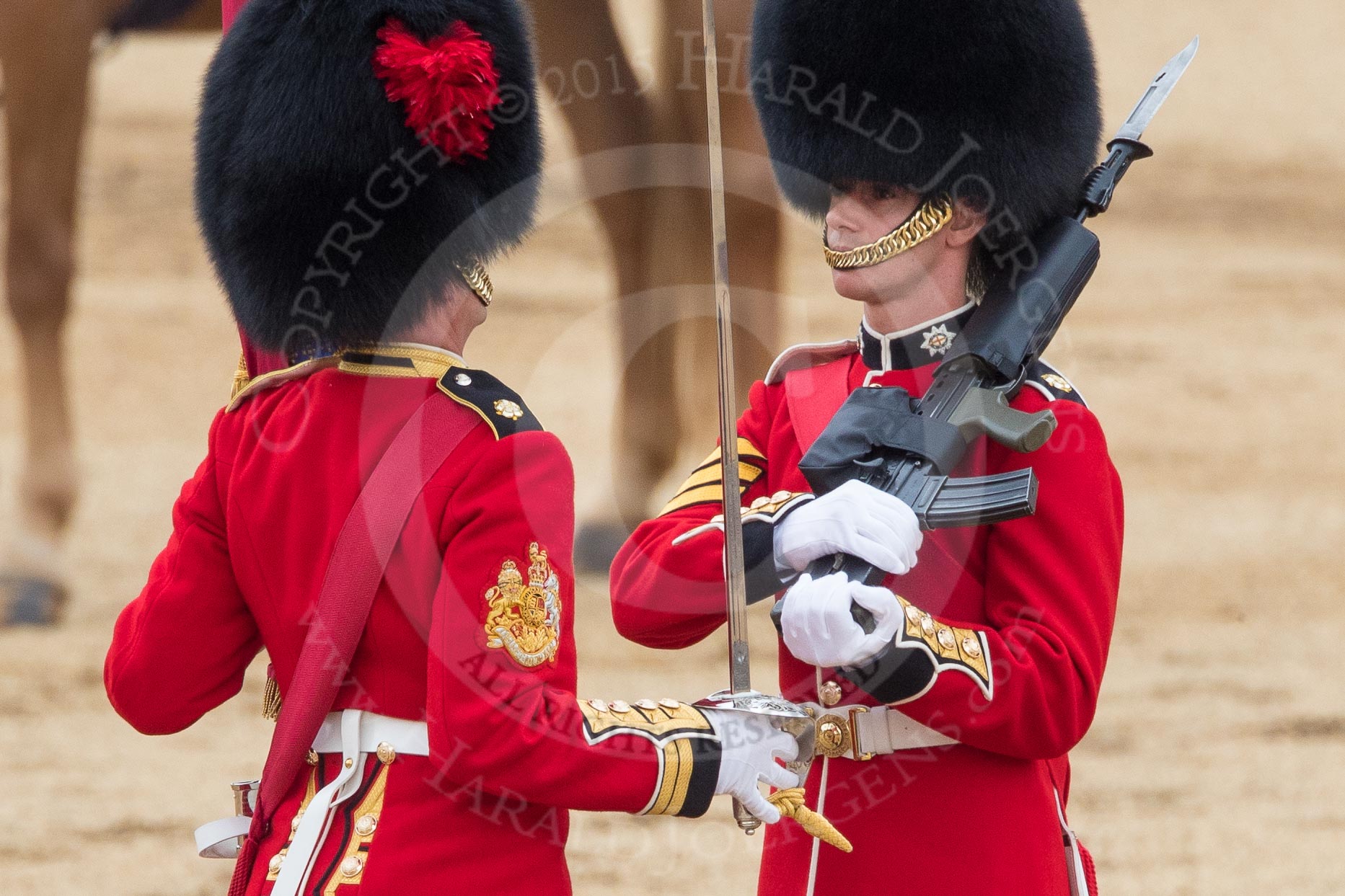 Trooping the Colour 2016.
Horse Guards Parade, Westminster,
London SW1A,
London,
United Kingdom,
on 11 June 2016 at 11:21, image #518
