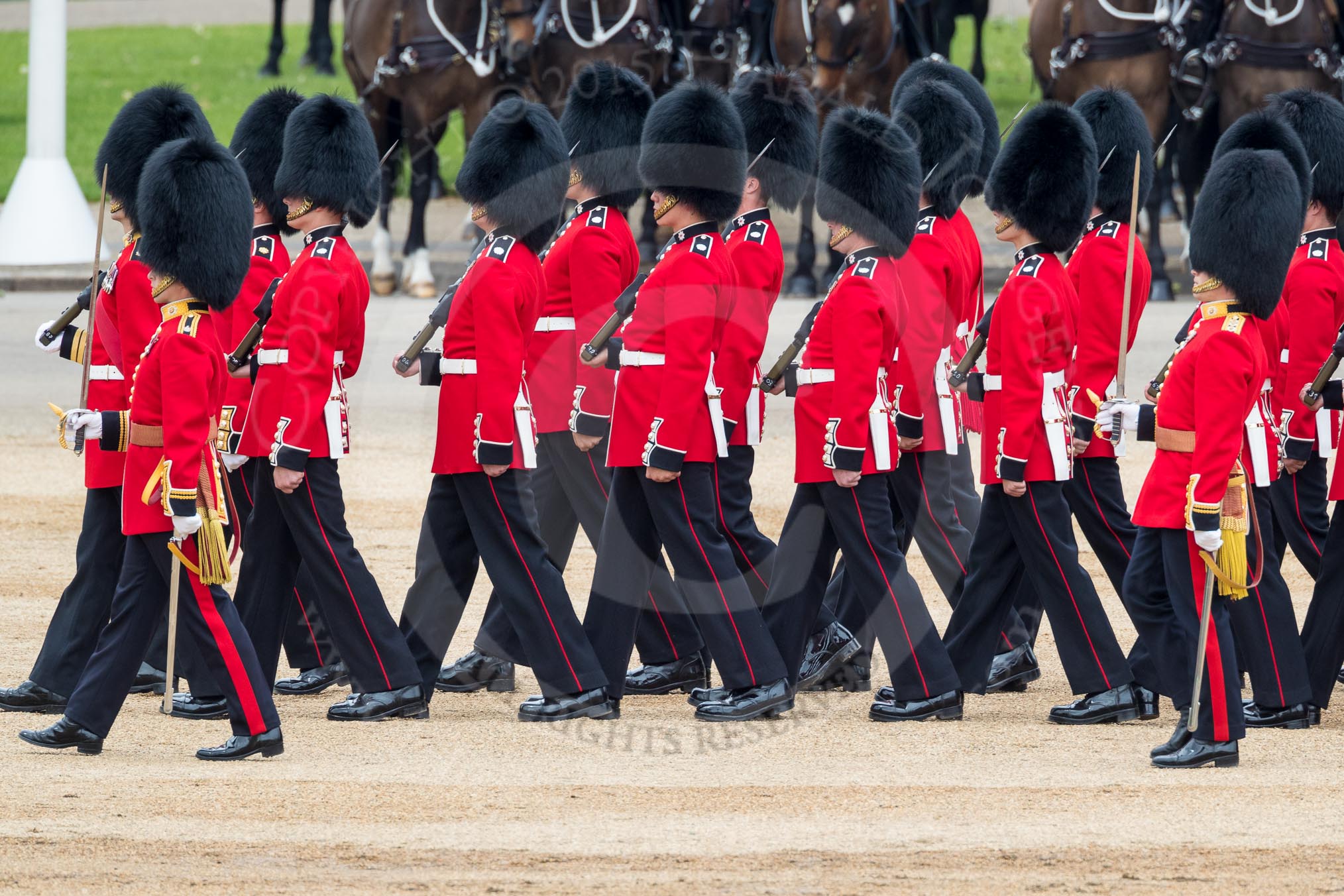 Trooping the Colour 2016.
Horse Guards Parade, Westminster,
London SW1A,
London,
United Kingdom,
on 11 June 2016 at 11:29, image #579