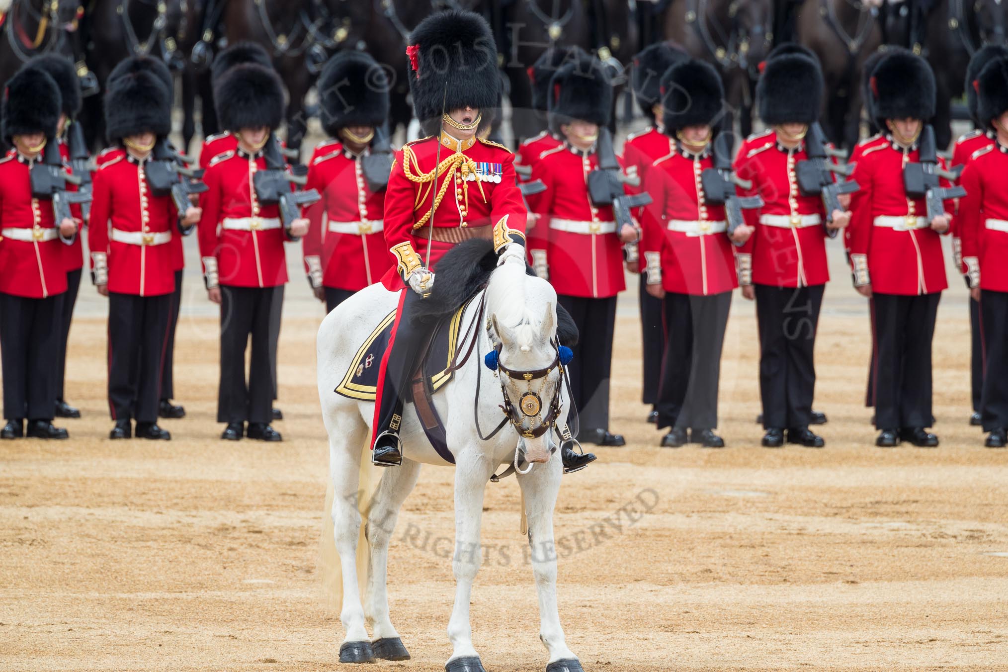 Trooping the Colour 2016.
Horse Guards Parade, Westminster,
London SW1A,
London,
United Kingdom,
on 11 June 2016 at 11:30, image #587